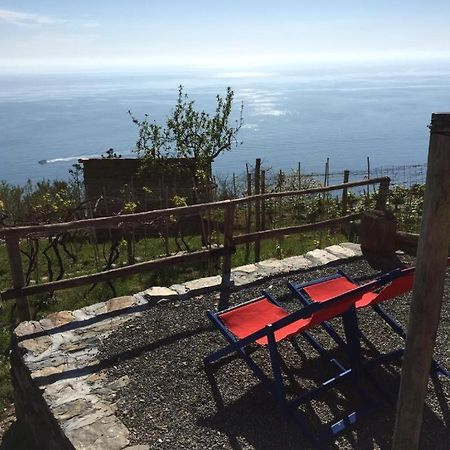Il Nettare Agriturismo Riomaggiore Eksteriør billede