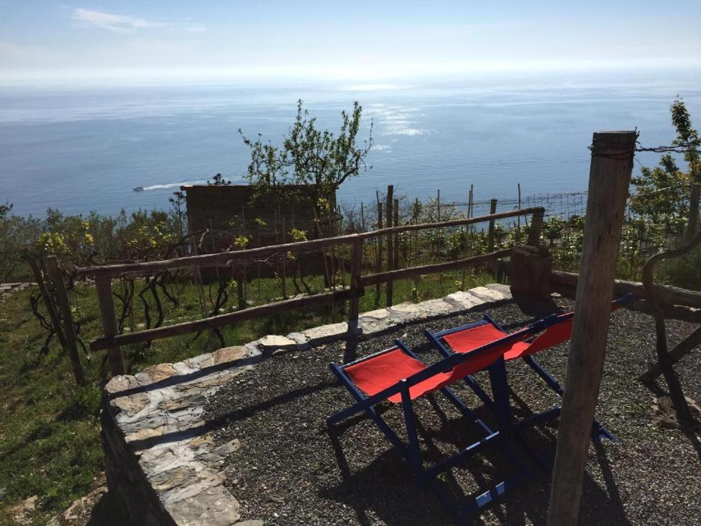Il Nettare Agriturismo Riomaggiore Eksteriør billede