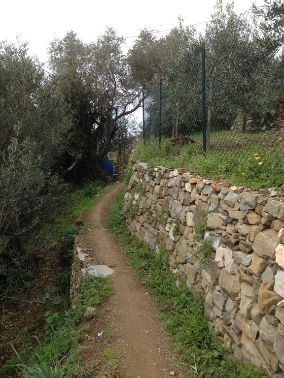 Il Nettare Agriturismo Riomaggiore Eksteriør billede