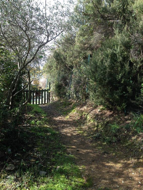 Il Nettare Agriturismo Riomaggiore Eksteriør billede