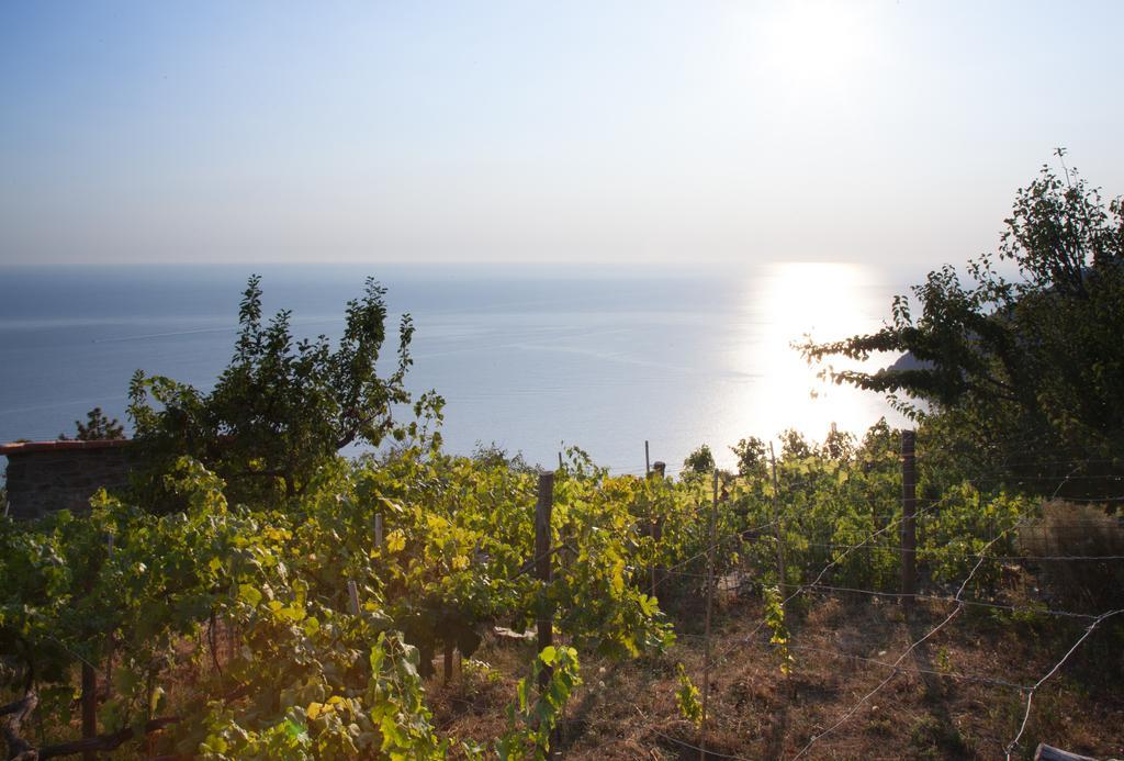 Il Nettare Agriturismo Riomaggiore Eksteriør billede